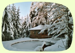 Unser Fischteich im Wintergewand